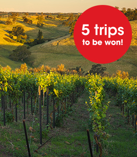 Landscape of the Barossa Valley, 5 trips to be won.